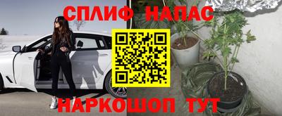 твердый Сланцы