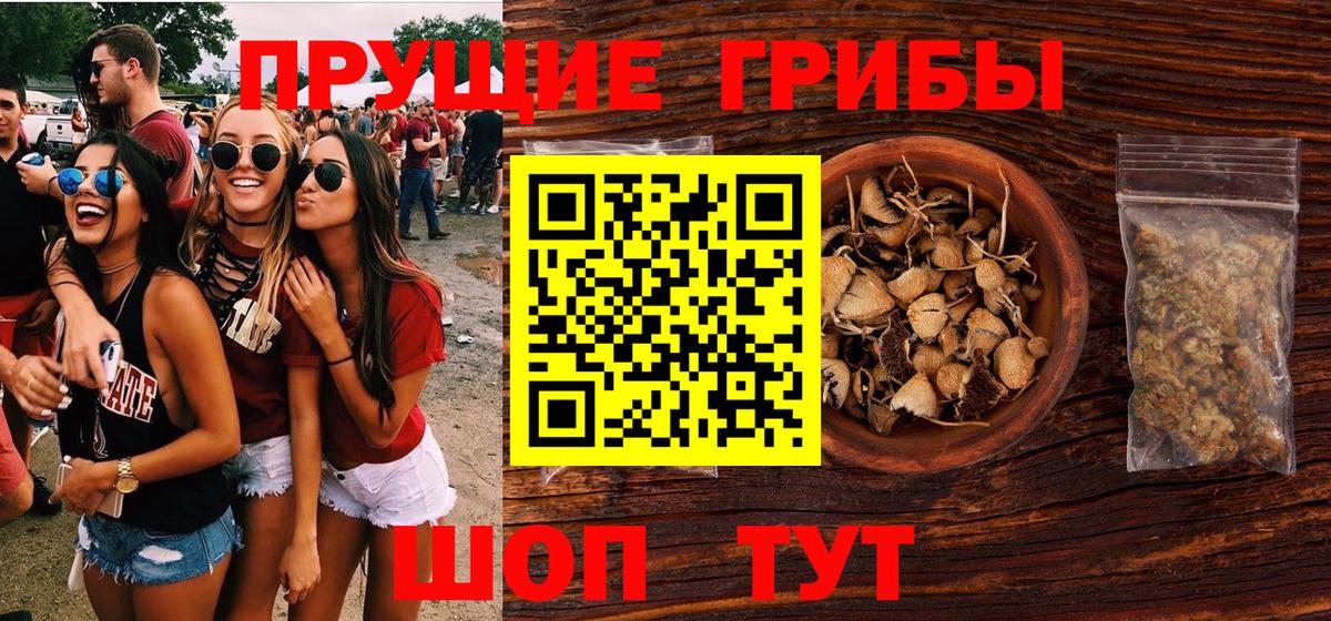 купить наркоту  Вход с VPN  Реутов  Галлюциногенные грибы Magic Shrooms  Галлюциногенные грибы Magic Shrooms 