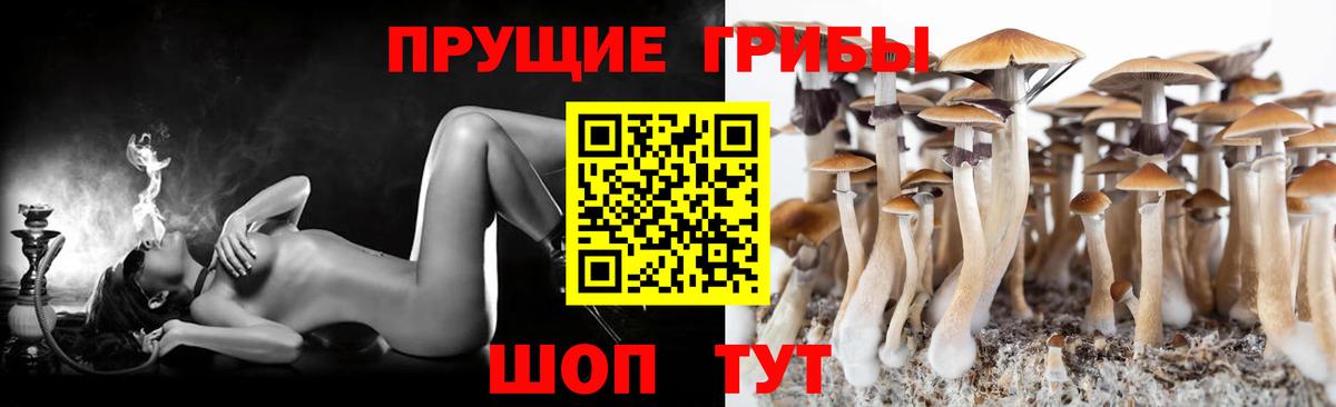 Псилоцибиновые грибы Psilocybine cubensis Реутов